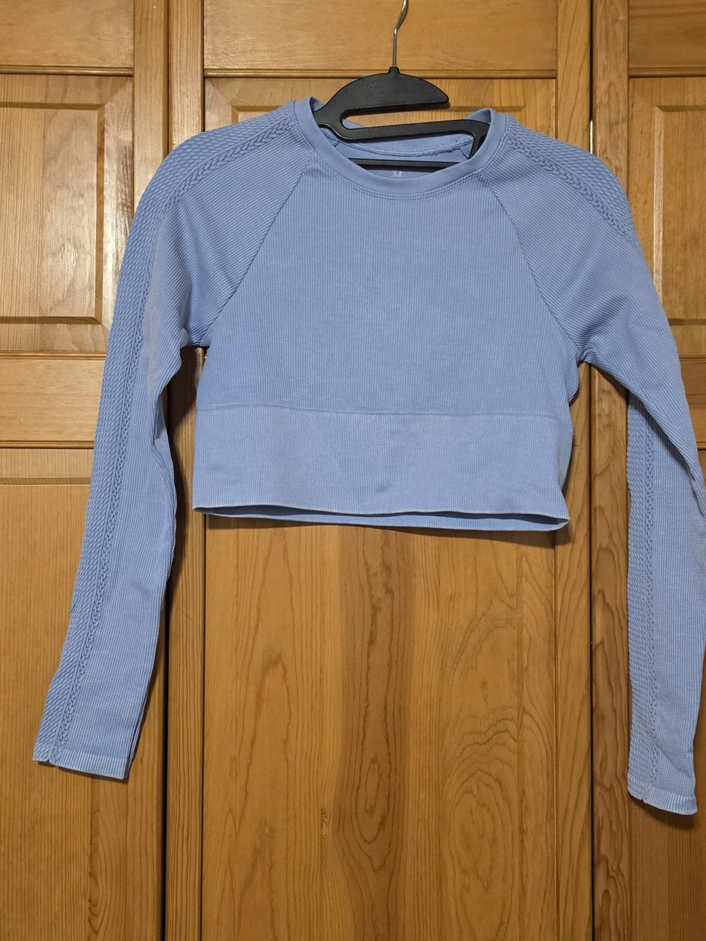 aerie Light Blue Long-Sleeve Cropped Top